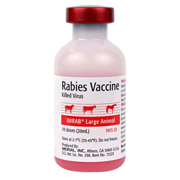 10 Year Rabies Vaccine at Toby Sayles blog